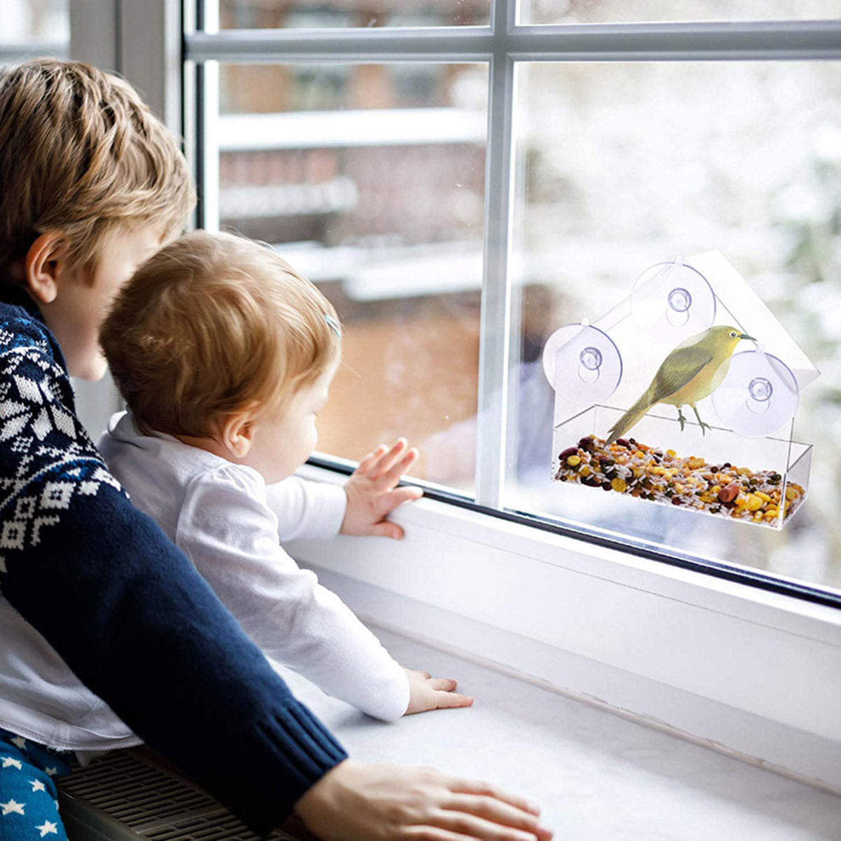 Akryl Fågelmatare Hus™ | Lätt att fästa på fönstret!